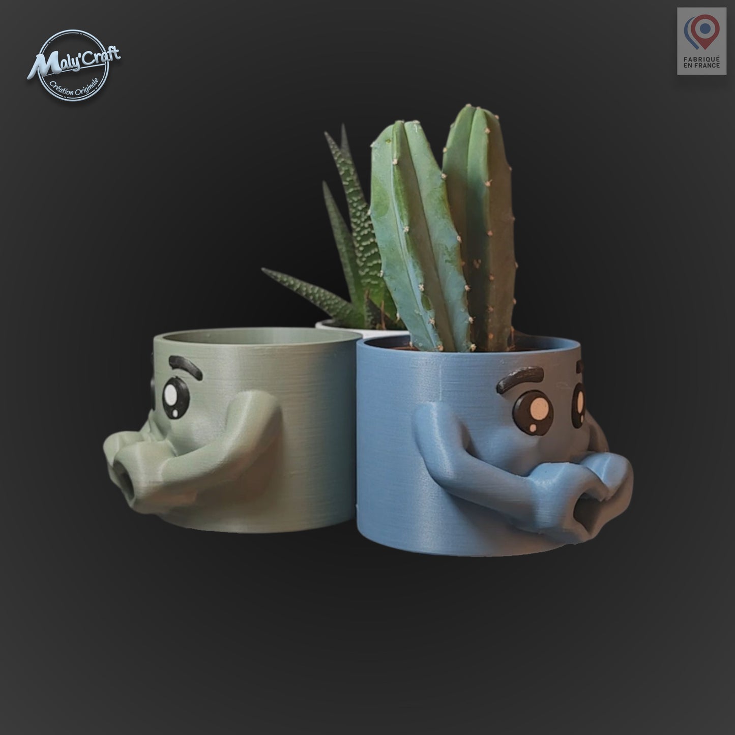 Cache-pot bleu et vert sauge imprimés 3D avec yeux expressifs et mains en cœur, déco originale pour plantes ou cadeau unique.