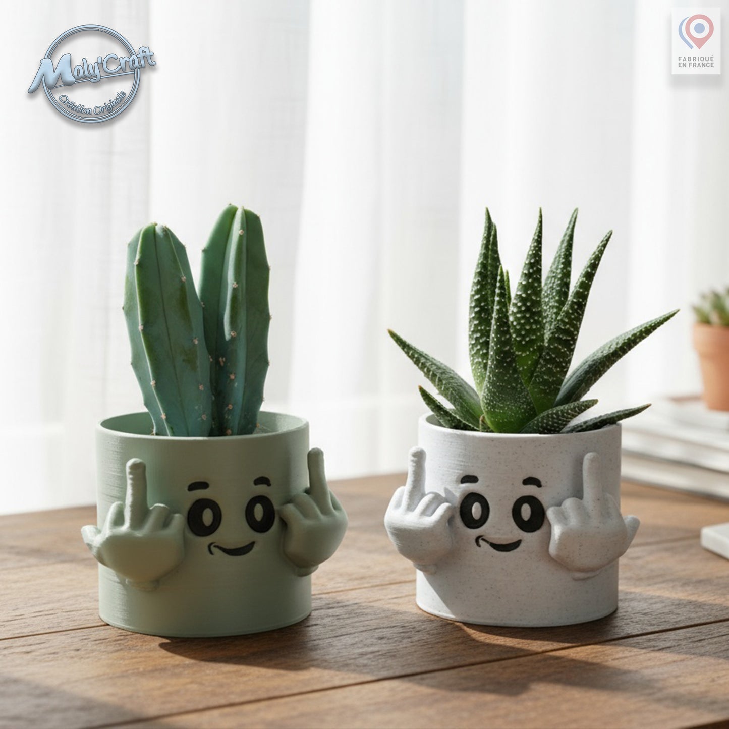 Pot humoristique pour plante, imprimé en 3D et signé Maly’Craft. Ce petit cache-pot original représente un visage souriant avec deux mains levant le majeur, pour une décoration à la fois drôle et décalée. Idéal pour un cactus ou une succulente, il apporte une touche d’ironie et de bonne humeur à votre bureau, salon ou atelier. Création artisanale fabriquée en France, parfaite comme idée cadeau amusante pour les amateurs d’humour et de design unique.